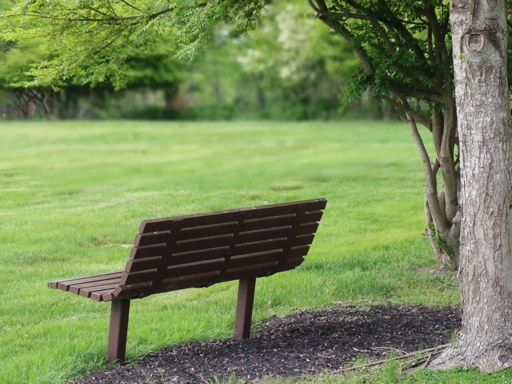 Park bench in a calm green space